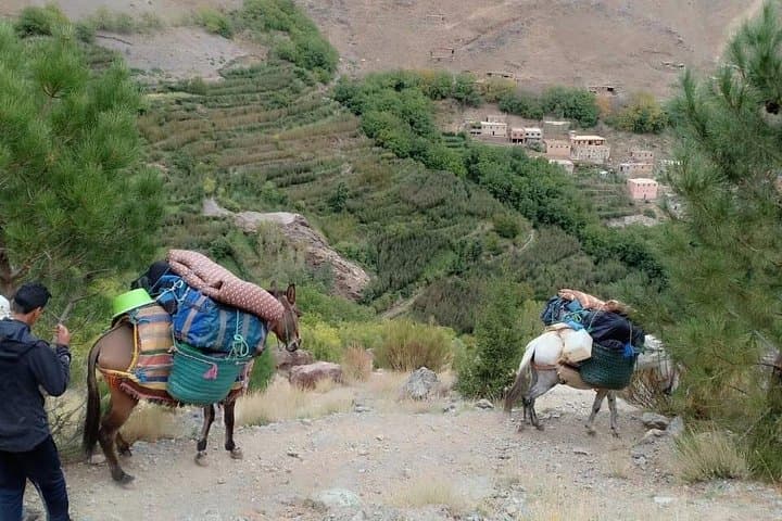 3-Day Atlas Mountains Trek from Marrakech — Berber Villages, Imlil Trails & Azzaden Valley photo 3