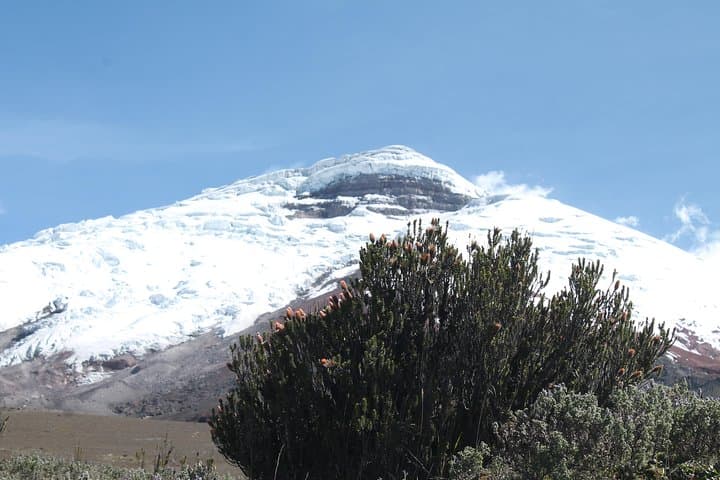 Cotopaxi Volcano Private Day Trip from Quito — Hike to José Ribas Refuge photo 2