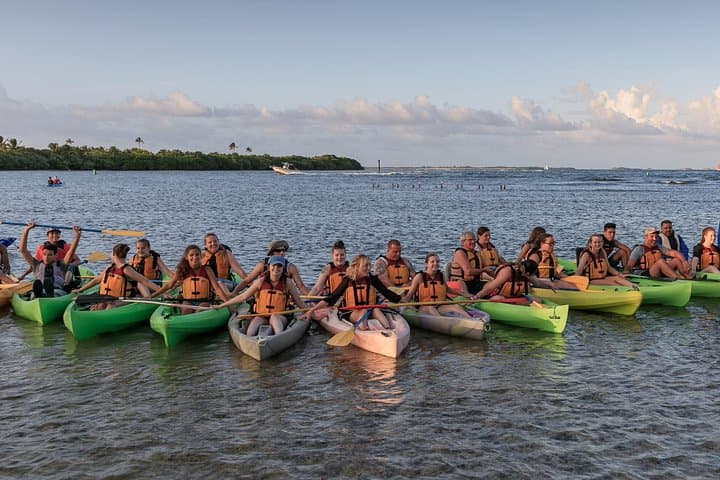 Night Kayak the Bio Bay: Laguna Grande Bioluminescent Kayak Tour from San Juan