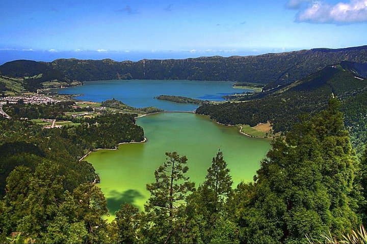 Full-Day Rotorua Private Tour from Auckland: Geothermal Wonders, Māori Culture & Redwood Walks photo 3