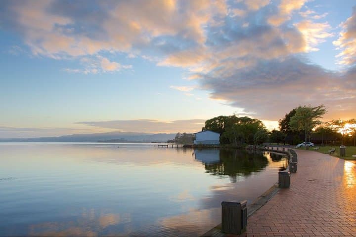 Auckland to Rotorua & Waitomo Glowworm Caves: Private Day Tour photo 4