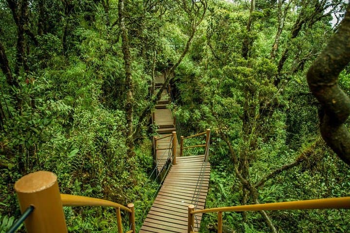 Cameron Highlands Day Tour from Kuala Lumpur — Tea Estates, Waterfalls & Highland Farms photo 4