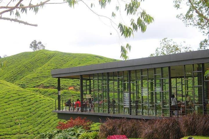 2-Day Private Tour: Cameron Highlands & Penang Island from Kuala Lumpur photo 2