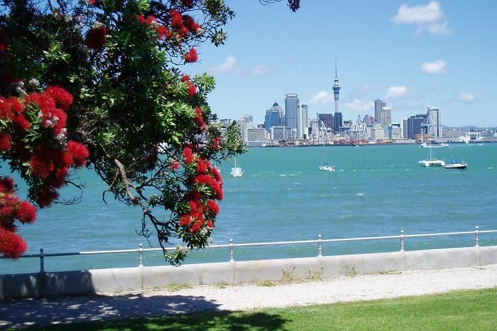 Private Auckland City and Countryside Tour — 4–5 Hour Guided City & Coast Highlights photo 6