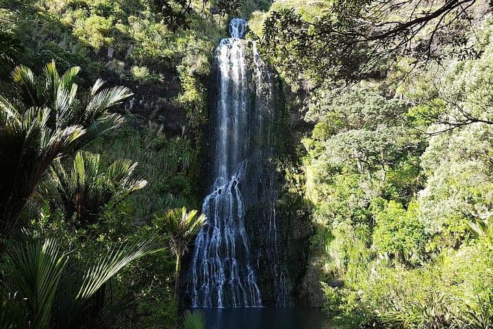 Private Auckland City and Countryside Tour — 4–5 Hour Guided City & Coast Highlights photo 5