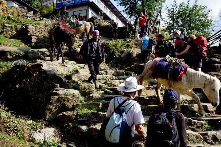 Annapurna Base Camp Trek: Sunrise at Poon Hill to the Annapurna Sanctuary photo 4