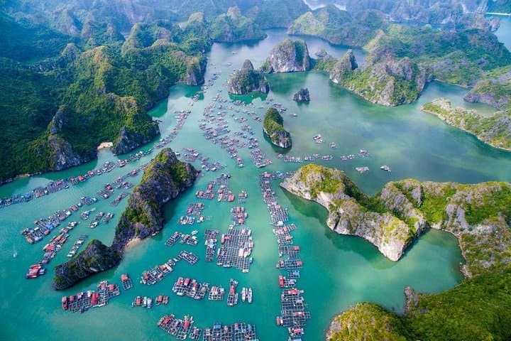 Ha Long Bay 2-Day Luxury Junk Cruise: Sung Sot Cave, Ti Top & Night Squid Fishing photo 3