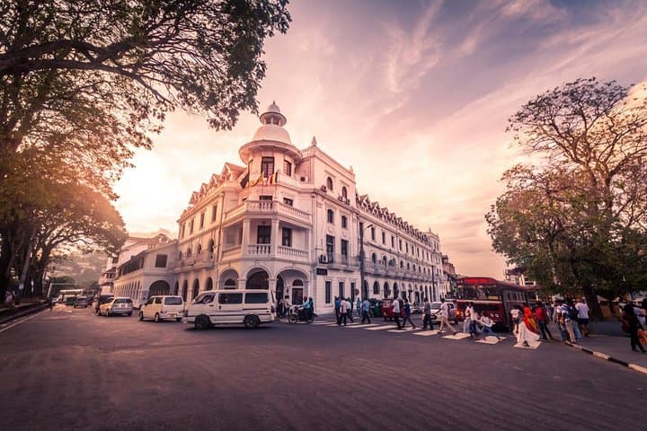 Two-Week Sri Lanka Itinerary: Yala Safari, Scenic Train & Cultural Triangle photo 6
