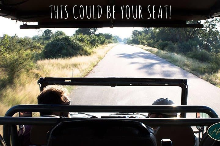 Full-Day Kruger Safari from Hazyview — Open-Vehicle Wildlife Experience photo 2