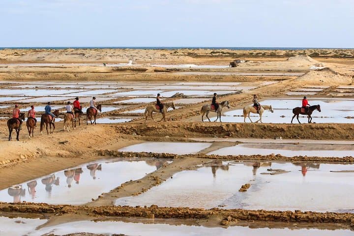 Ride the Sands: Horseback Adventures on Sal Island, Cabo Verde photo 3