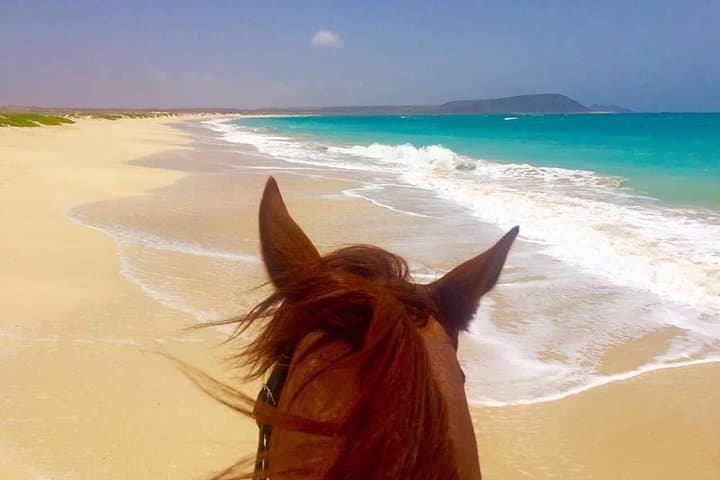 Ride the Sands: Horseback Adventures on Sal Island, Cabo Verde photo 6