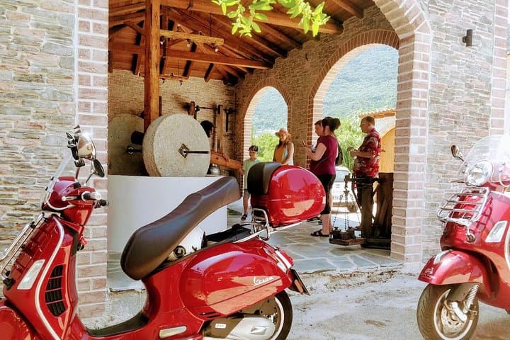 Corfu Vespa Taste Tour: Olive Oil, Wine & Kumquat Tasting on Rural Roads photo 1