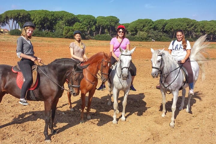Seville Horse Riding Excursion: 2-Hour Andalusian Ranch Trail Ride photo 2