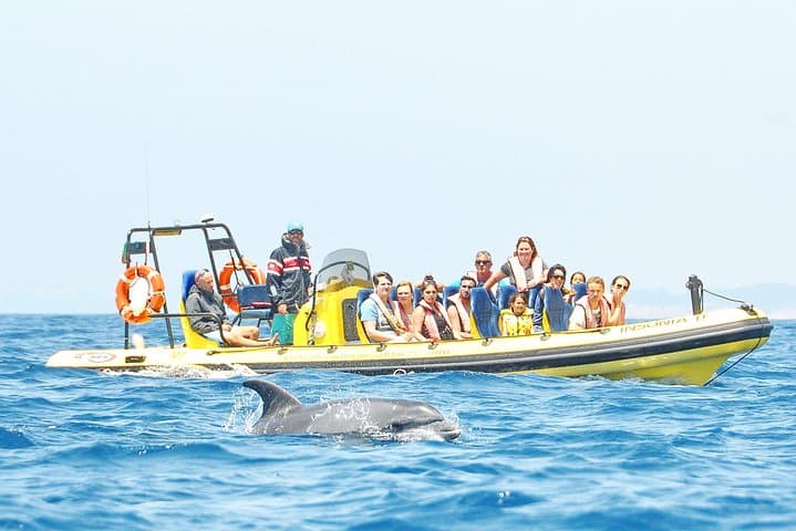 Benagil Caves & Dolphin-Watching Cruise from Albufeira: Coastal Boat Tour Guide photo 3