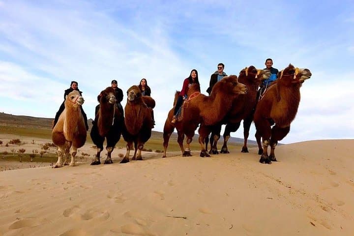 Best 5-Day Central Mongolia Tour — Hustai, Elsen Tasarkhai & Kharkhorin photo 5