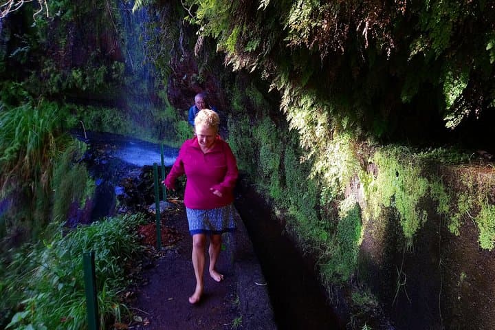 Levada do Rei Guided Walk: Explore Madeira’s Laurisilva 'Madre of Life' photo 5