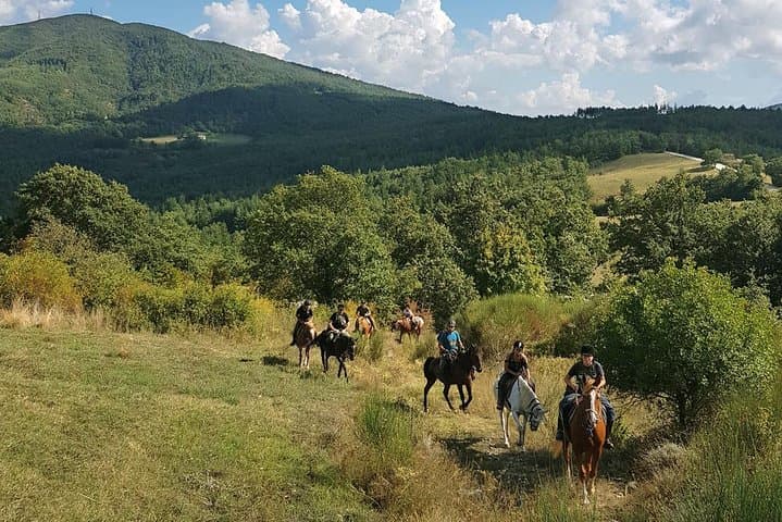 Half-Day Horseback Ride Through Tuscany’s Hills and Medieval Villages photo 4