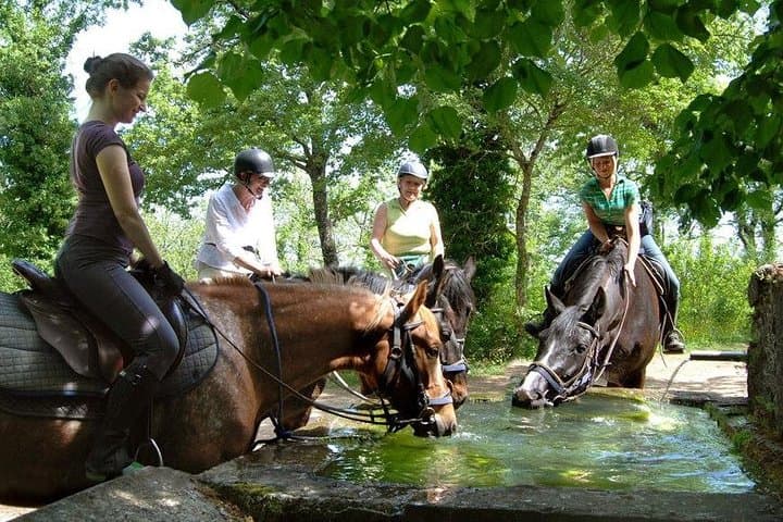 Half-Day Horseback Ride Through Tuscany’s Hills and Medieval Villages photo 5
