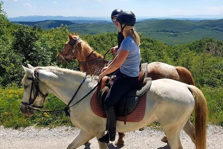 Half-Day Horseback Ride in Tuscany — Beginner-Friendly Trails Near San Gimignano