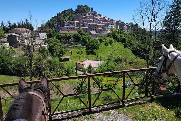 Half-Day Horseback Ride in Tuscany — Beginner-Friendly Trails Near San Gimignano photo 5