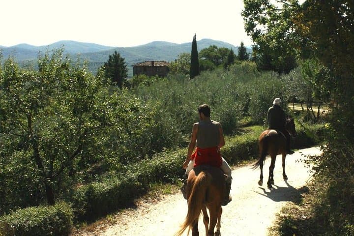 Full-Day Horseback Trail Ride in Maremma, Tuscany for Experienced Riders photo 2