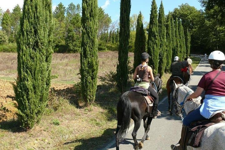 Full-Day Horseback Trail Ride in Maremma, Tuscany for Experienced Riders photo 3