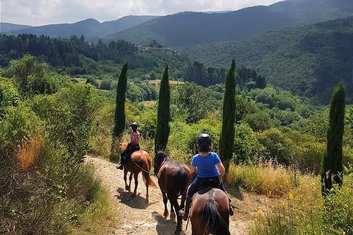 Full-Day Horseback Trail Ride in Maremma, Tuscany for Experienced Riders