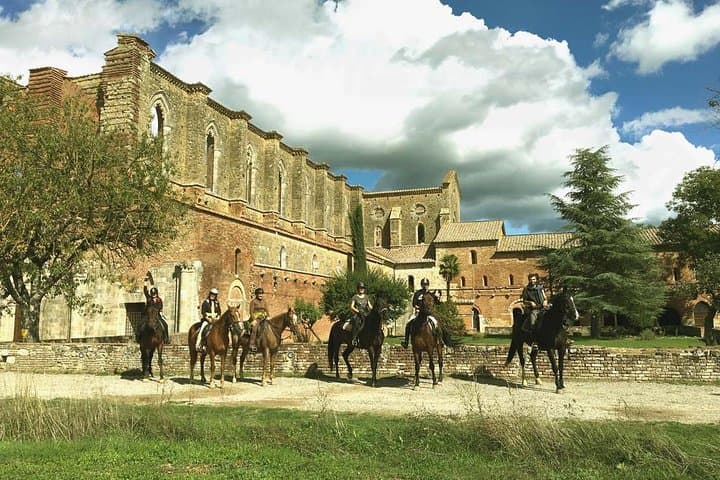Full-Day Horseback Trail Ride in Maremma, Tuscany for Experienced Riders photo 5