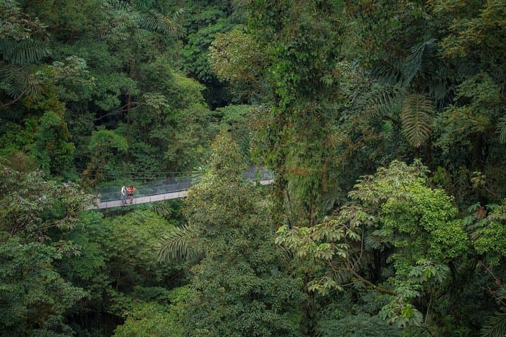 Arenal Hanging Bridges: Canopy Hike Through Costa Rica’s Rainforest photo 4