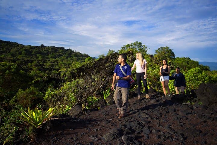 Arenal Volcano Walk to El Silencio Viewpoint with Optional Hot Springs photo 5