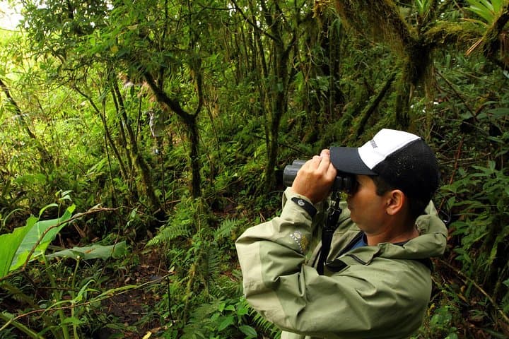 Cloud Forest Hike at Juan Castro Blanco National Park — Quetzals, Headwaters & High-Altitude Trails photo 3