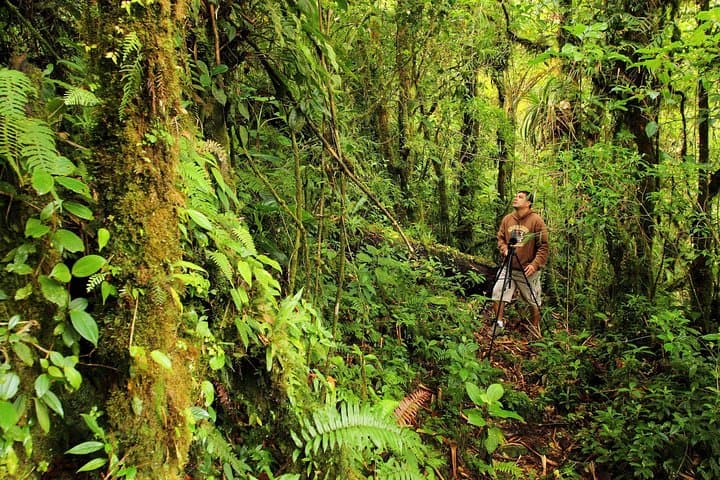 Cloud Forest Hike at Juan Castro Blanco National Park — Quetzals, Headwaters & High-Altitude Trails photo 5