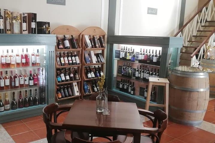 Lisbon to Setúbal Wine Tour: Palmela Castle, Arrábida & Traditional Wineries photo 4