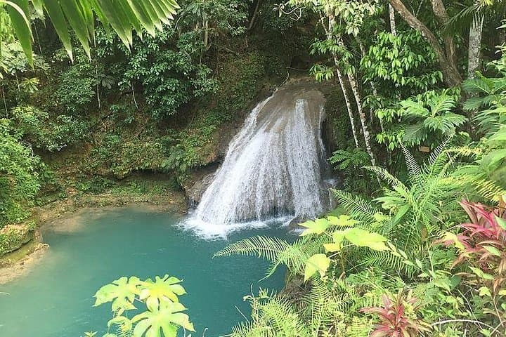 Blue Hole (Island Gully) Private Tour from Montego Bay — Ocho Rios Waterfall Adventure photo 4