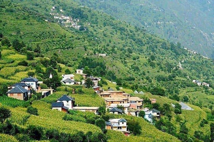 Rakkh Village Walk: Day Trip from Dharamshala into the Dhauladhar Deodar Forests