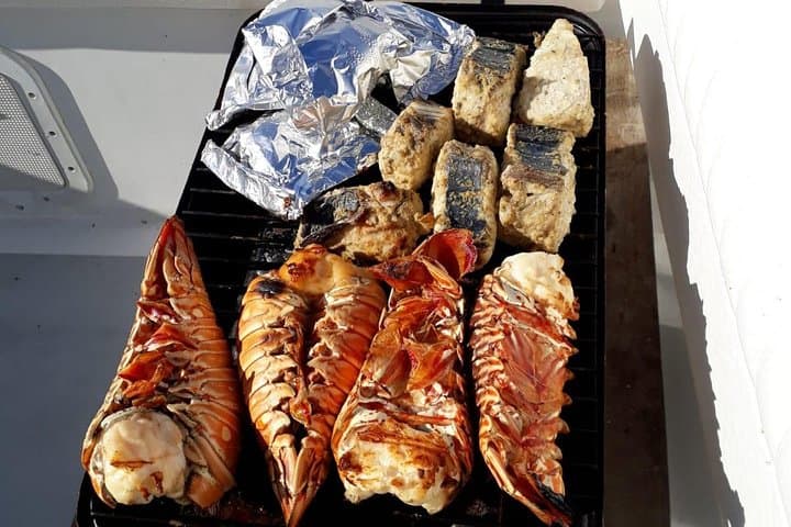 Private Half-Day Snorkel & Cruise on Shady Grady — Providenciales Charter photo 2