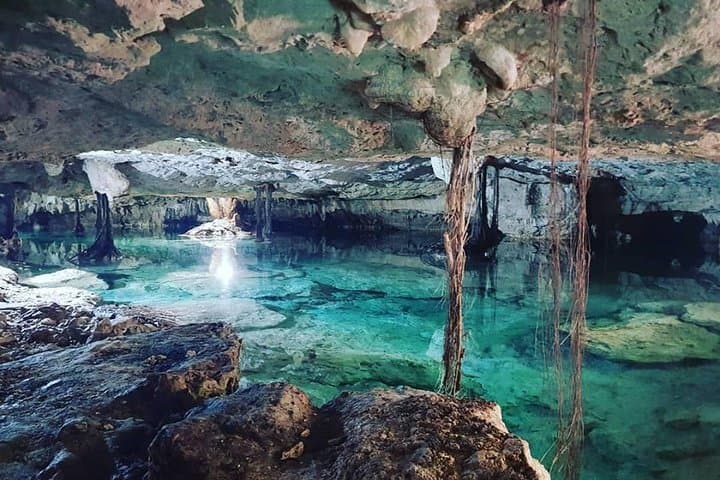 Half-Day Cenotes Expedition: Swim Yum Ha & Sol y Luna near Tulum photo 2