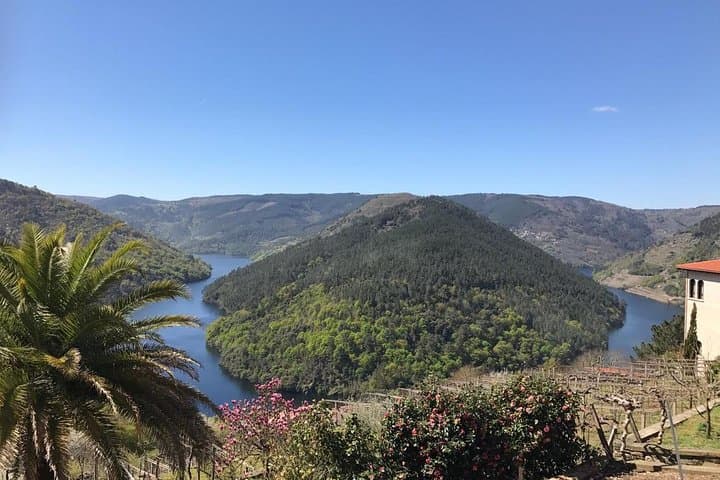 Canyons and Wine: Ribeira Sacra Day Trip from Lugo