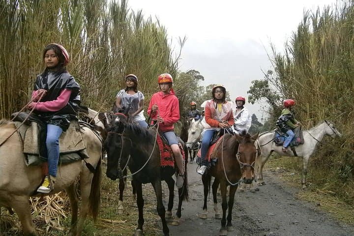 Horseback Riding Around Baños: 2-Hour Trails to Casa del Árbol and Chamana photo 2