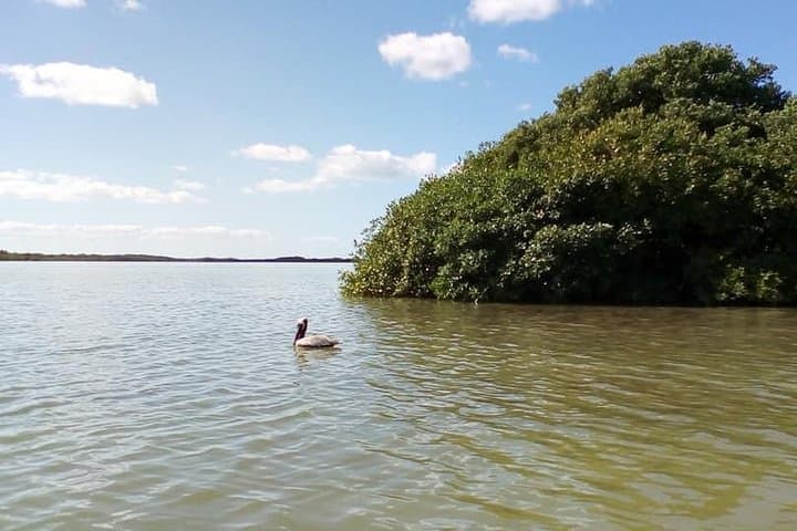 Muyil Ruins and Chunyaxche Lagoon: Sian Ka'an Day Tour from Tulum photo 6