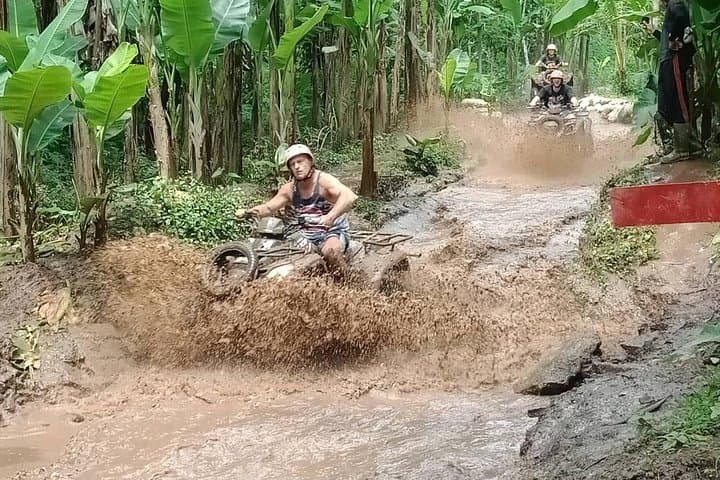 Private Ubud Day Tour: Monkey Forest, Rice Terraces & Holy Springs