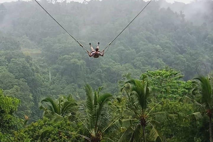 Private Ubud Day Tour: Monkey Forest, Rice Terraces & Holy Springs photo 2