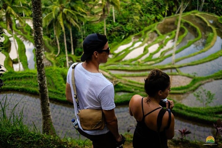 Ubud Private Tour: Balinese Culture, Rice Terraces & Holy Springs photo 3