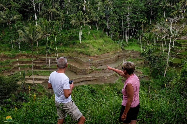 Ubud Private Tour: Balinese Culture, Rice Terraces & Holy Springs photo 4