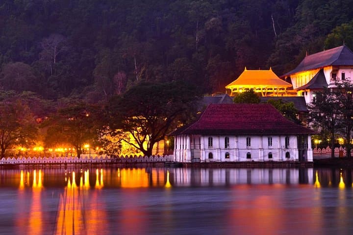 Kandy and Pinnawala Private Day Tour from Colombo: Temple, Tea & Elephant Encounters photo 2