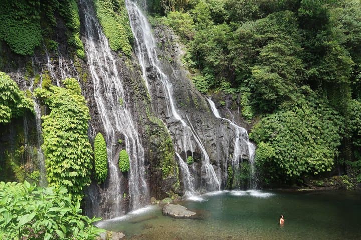 Bali Highlands Day Tour: Banyumala & Gitgit Waterfalls, Ulun Danu Beratan and Jatiluwih photo 3