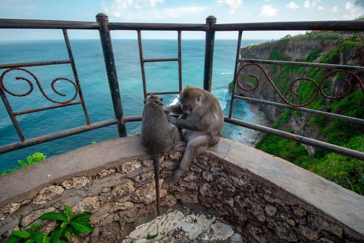 Uluwatu Temple to Balangan Beach: Cliffside eBike Private Tour in Bali photo 3
