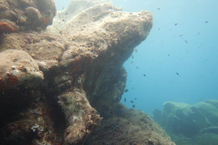 Discover Scuba Diving in the Maddalena Archipelago — Beginner Dives in Sardinia photo 2
