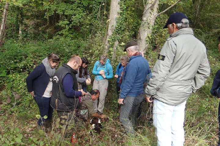 Private Truffle Hunt in Chianti from Florence — Dog-Led Foraging & Tuscan Lunch photo 5
