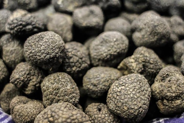 Private Truffle Hunting in Chianti — Guided Truffle Hunt & Tuscan Farmhouse Lunch photo 1